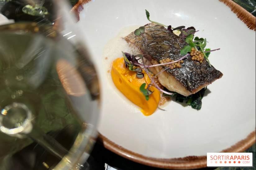 Onyx - Poisson, carotte, gingembre