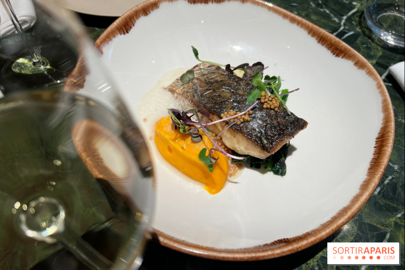 Onyx - Poisson, carotte, gingembre