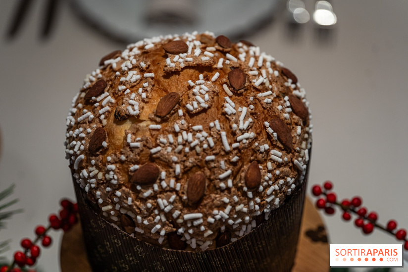 La Bûche de Noël 2024 et créations de Fête du Cheval Blanc par Maxime Frédéric et son équipe -  A7C6354