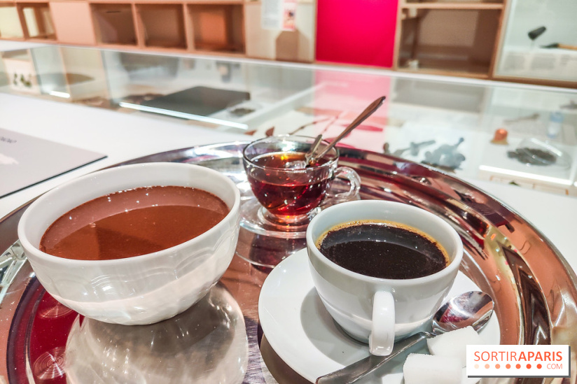 Migrations, une odyssée humaine : l'exposition-événement se dévoile au Musée de l'Homme à Paris - IMG20241120105041