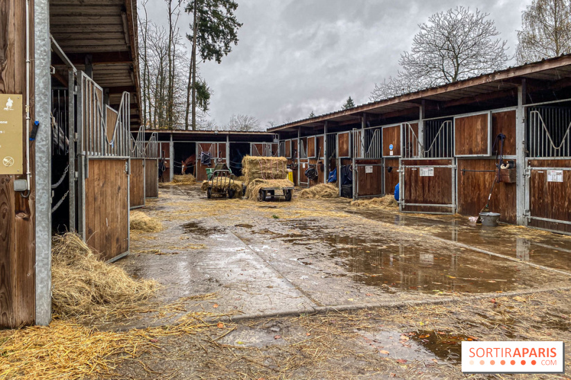 Domaine de Maffliers : notre test de l'escapade champêtre et équestre by Demeures de Campagne - IMG 1371