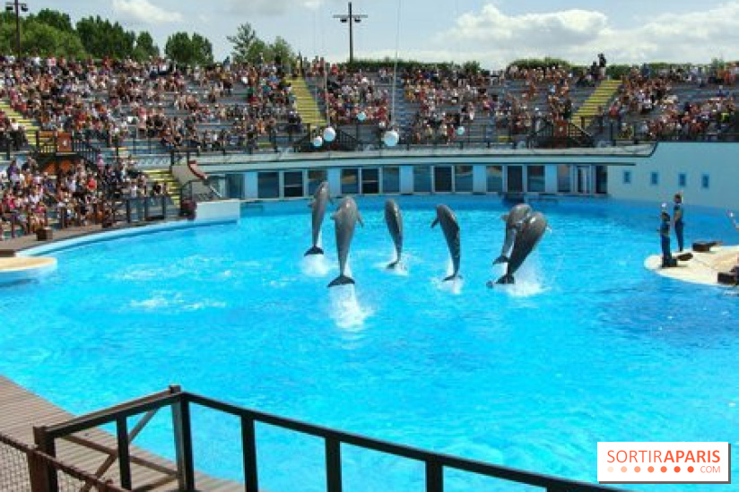 Parc Asterix
Dauphins