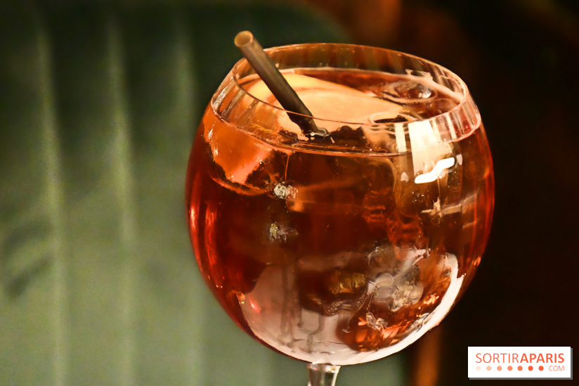 Le Wagon Bleu Paris, un restaurant insolite et festif aux accents corses - IMG 3315