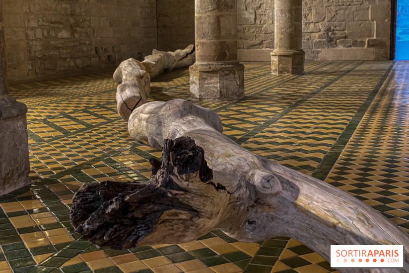 En deçà de l’invisible : Cécile Beau et Grégoire Scalabre s'exposent à l'Abbaye de Maubuisson - IMG 1504