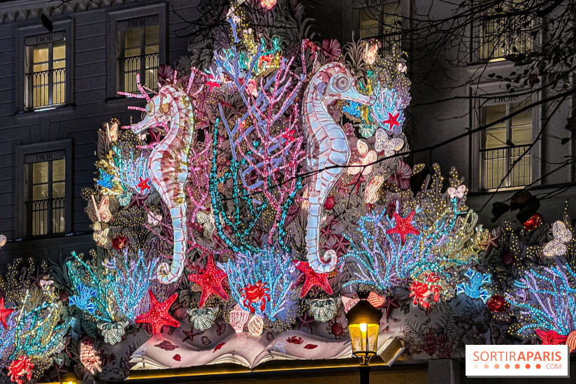 Les illuminations de Noël 2024 du Faubourg Saint Honoré avec Emmanuelle Béart - IMG 1627 jpg 2