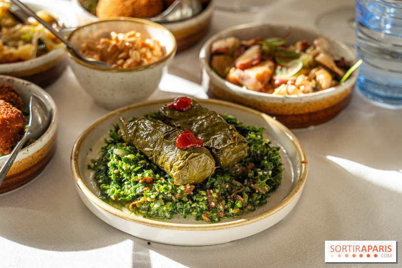 Osmossi par la maison Mavrommatis, le restaurant grec Paris 16e -  A7C7186