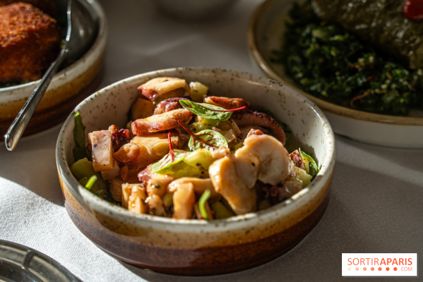 Osmossi par la maison Mavrommatis, le restaurant grec Paris 16e -  A7C7188