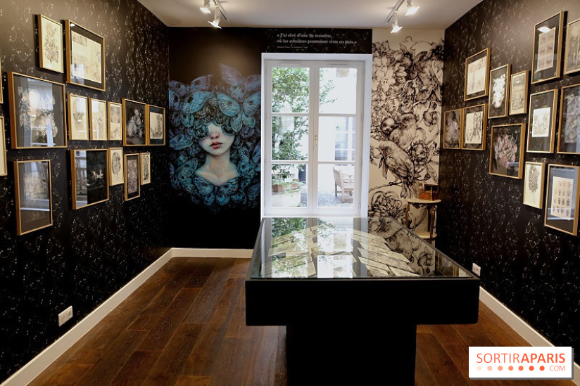 Benjamin Lacombe à la Galerie Gallimard, nos photos - bis