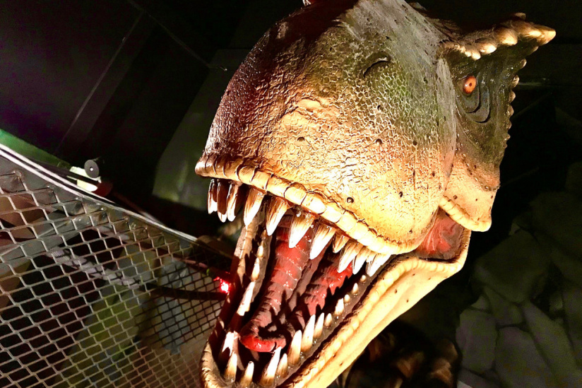 Campagne #34140 - Escape Game enfant Time Tripper Paris 14e