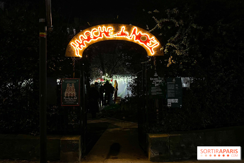 Le Marché de Noël de Notre Dame - IMG 2762 jpg