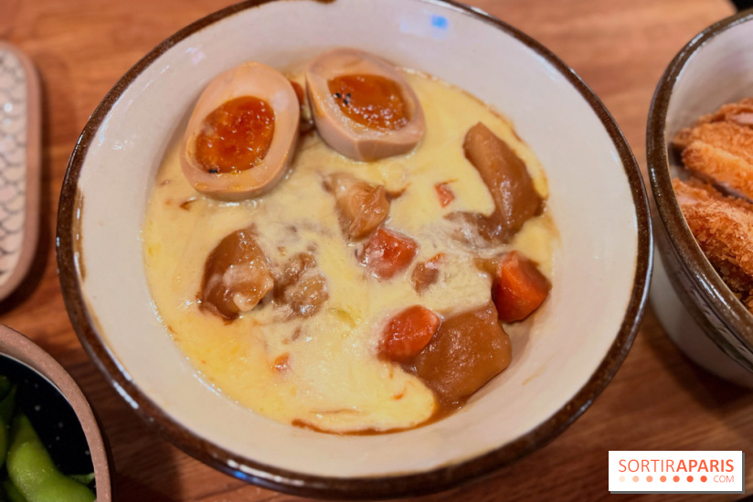 Jinchan Yokocho - Mont d'Or curry don