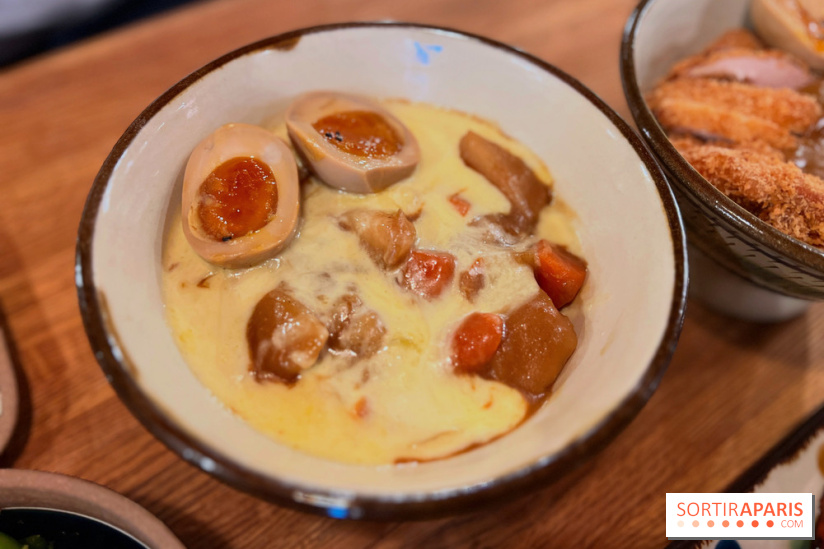 Jinchan Yokocho - Mont d'Or curry don