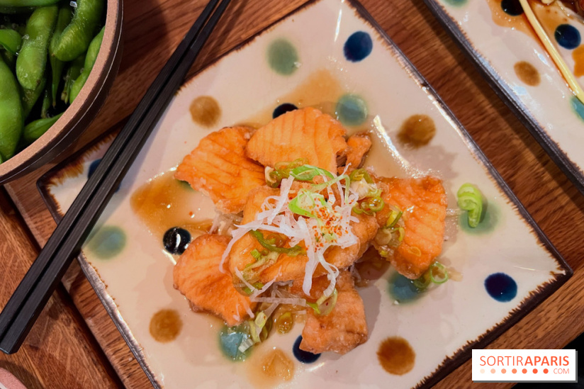 Jinchan Yokocho - Tranches de saumon frites