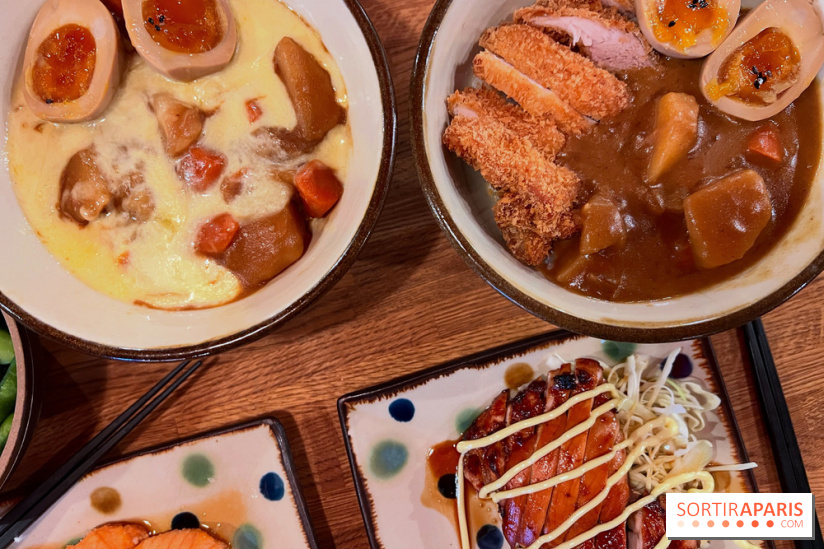 Jinchan Yokocho - Curry japonais