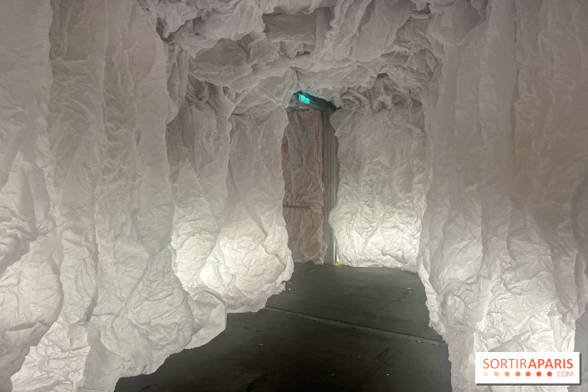 L'océan de Léa, l'exposition événement à la patinoire de Saint-Ouen - nos photos - image00051