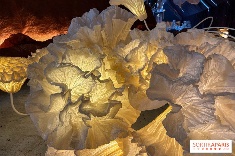 L'océan de Léa, l'exposition événement à la patinoire de Saint-Ouen - nos photos - image00032