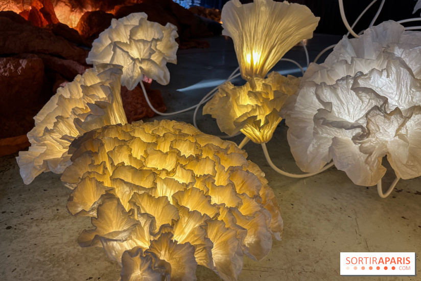 L'océan de Léa, l'exposition événement à la patinoire de Saint-Ouen - nos photos - image00033