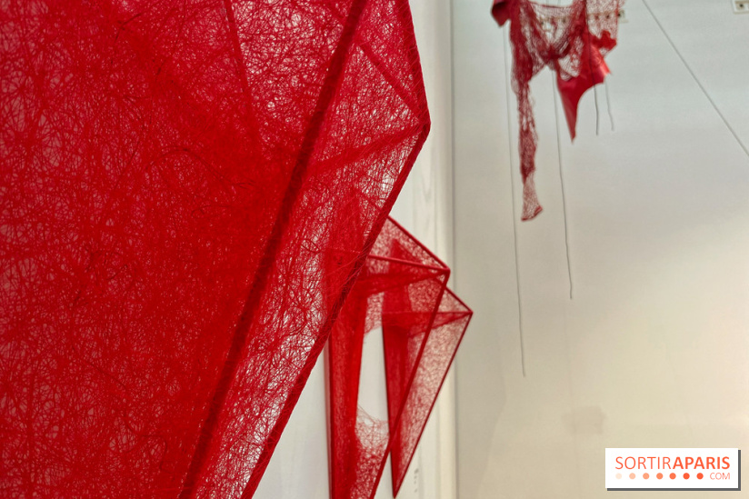 The Soul Trembles - IMG 7645