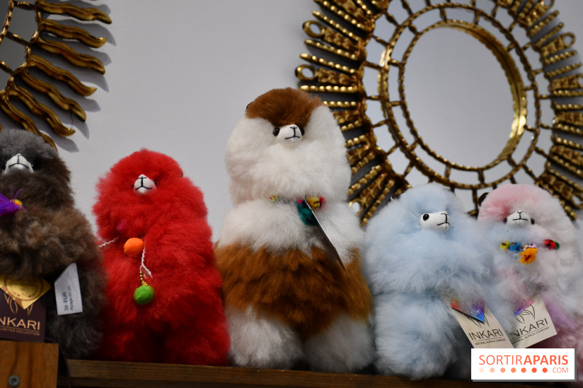 C'est le Pérou pour Noël, le pop-up store canon à Paris - DSC 2983