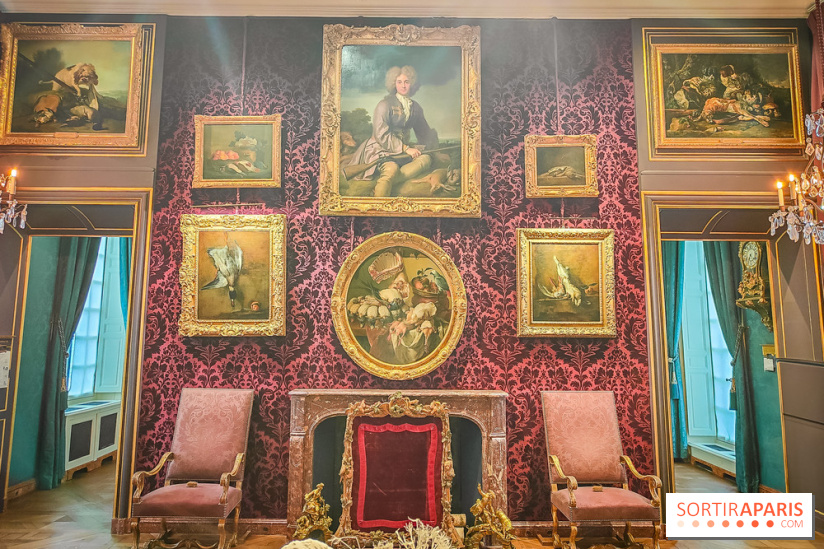 Musée de la chasse et de la nature - collections permanentes et visuels