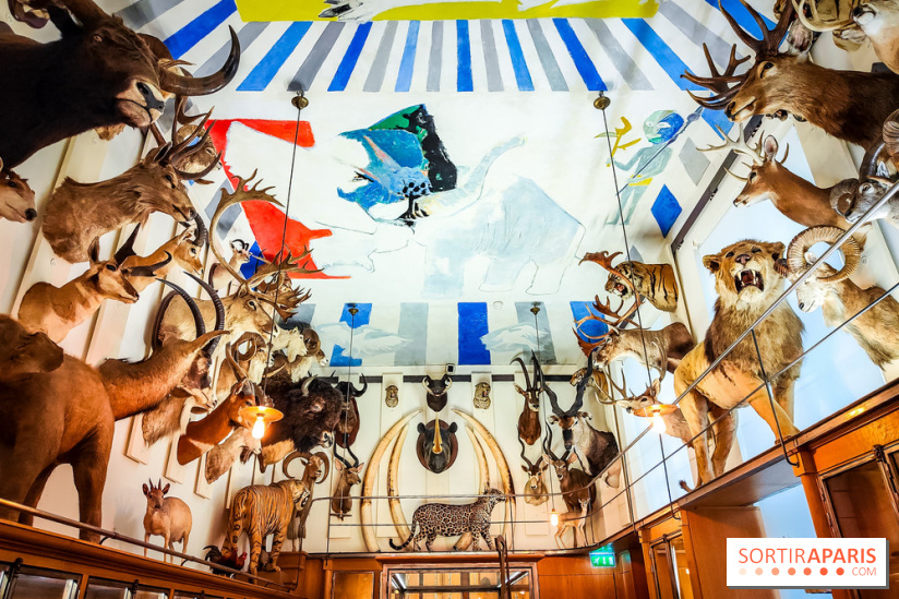 Musée de la chasse et de la nature - collections permanentes et visuels