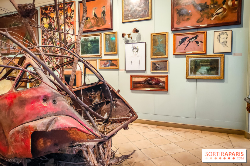 Musée de la chasse et de la nature - collections permanentes et visuels