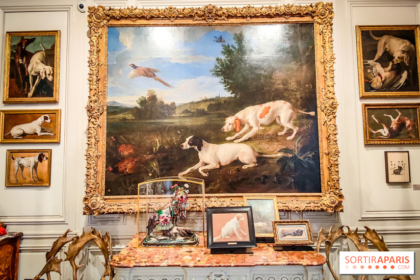 Musée de la chasse et de la nature - collections permanentes et visuels