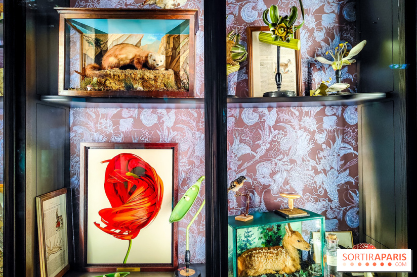 Musée de la chasse et de la nature - collections permanentes et visuels