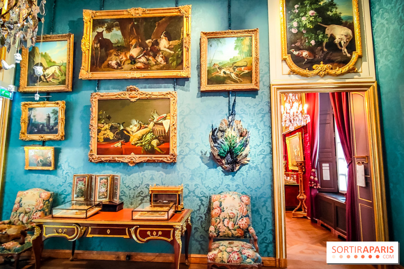 Musée de la chasse et de la nature - collections permanentes et visuels