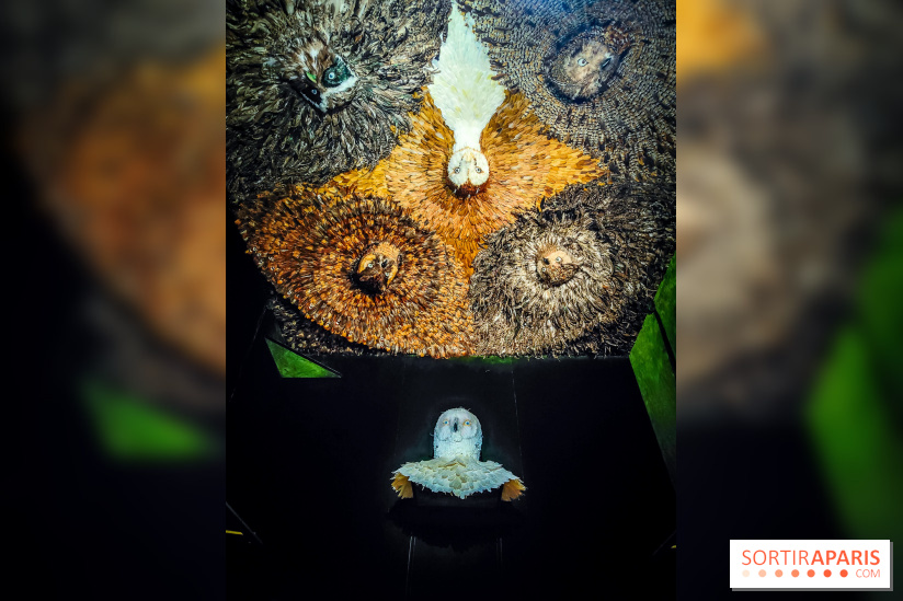 Musée de la chasse et de la nature - collections permanentes et visuels - IMG20241209151300