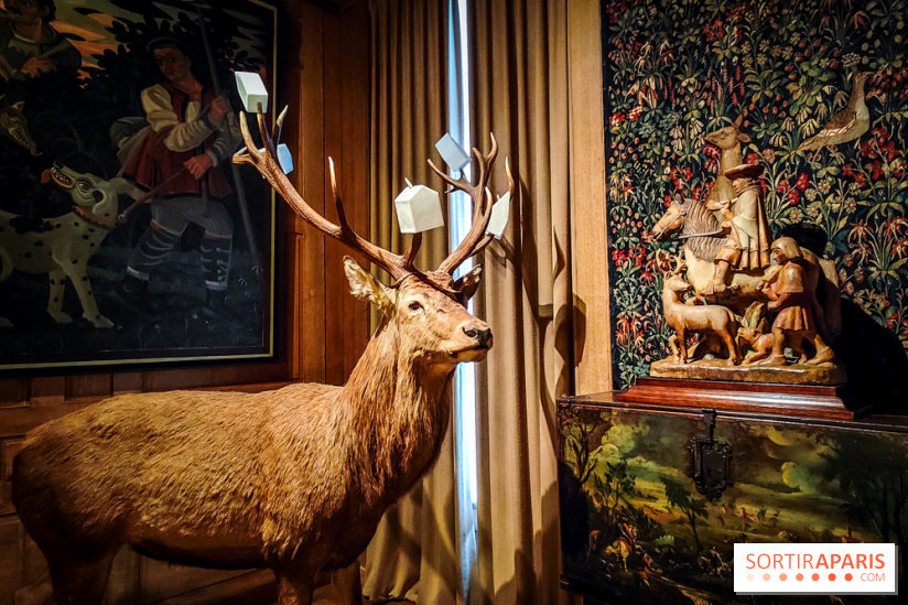Musée de la chasse et de la nature - collections permanentes et visuels