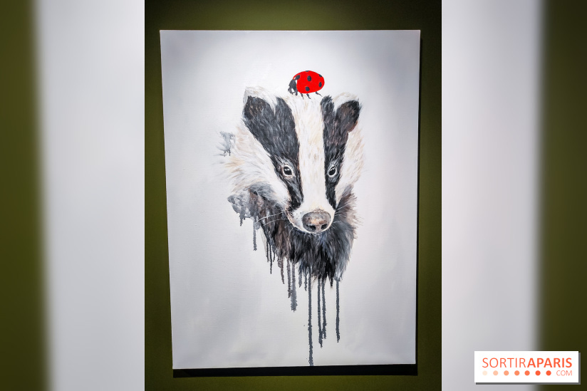 S'éclairer sans fin : l'exposition poétique d'Edi Dubien au musée de la Chasse et de la Nature - photos - IMG20241209153738