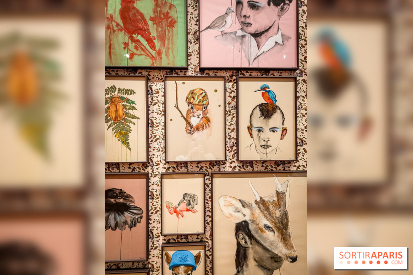 S'éclairer sans fin : l'exposition poétique d'Edi Dubien au musée de la Chasse et de la Nature - photos - IMG20241209145739