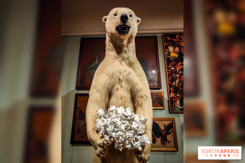 S'éclairer sans fin : l'exposition poétique d'Edi Dubien au musée de la Chasse et de la Nature - photos