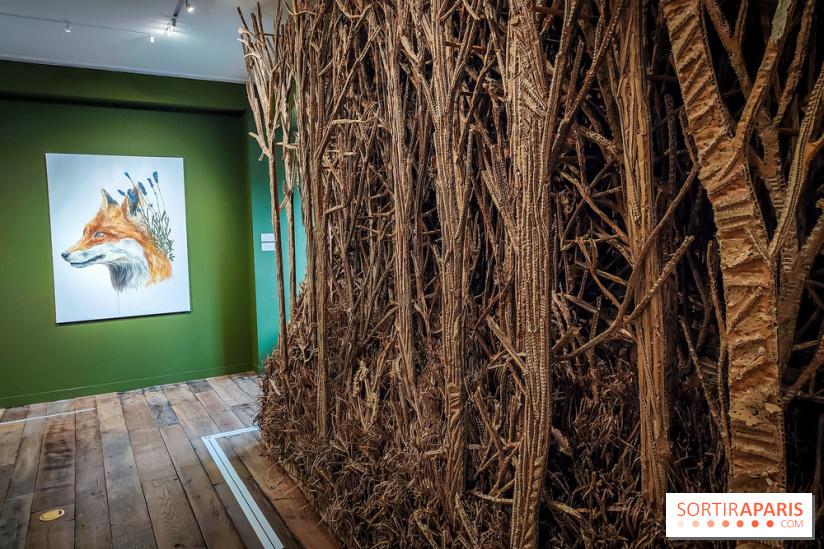 S'éclairer sans fin : l'exposition poétique d'Edi Dubien au musée de la Chasse et de la Nature - photos - IMG20241209153732