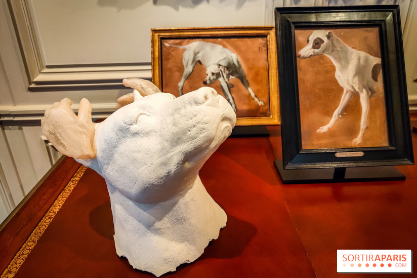 S'éclairer sans fin : l'exposition poétique d'Edi Dubien au musée de la Chasse et de la Nature - photos - IMG20241209152050