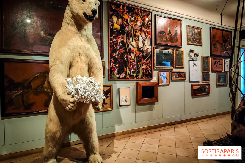 S'éclairer sans fin : l'exposition poétique d'Edi Dubien au musée de la Chasse et de la Nature - photos - IMG20241209152603