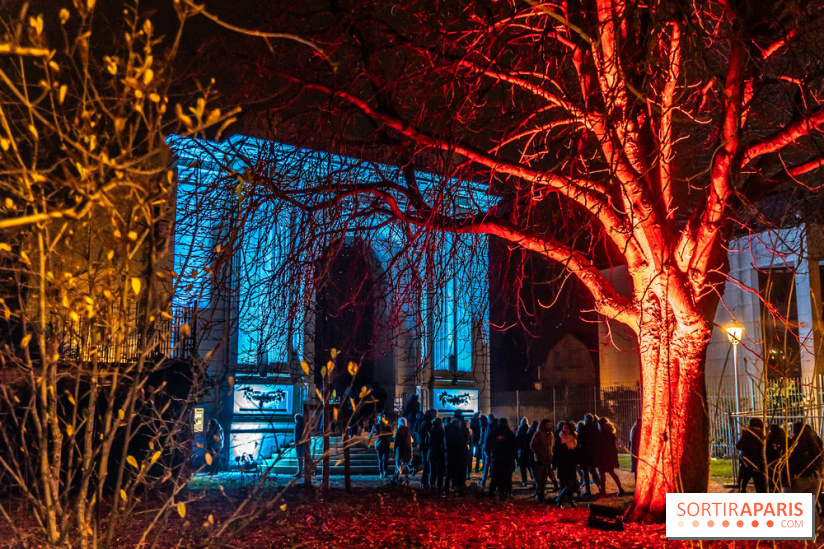 Lueurs de Mantes 2024, le parcours lumineux dans les Yvelines - photos -  A7C9245