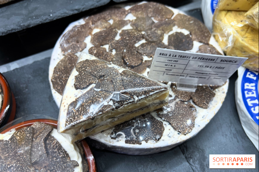 Fromagerie et cave à vin Source - Brie à la truffe