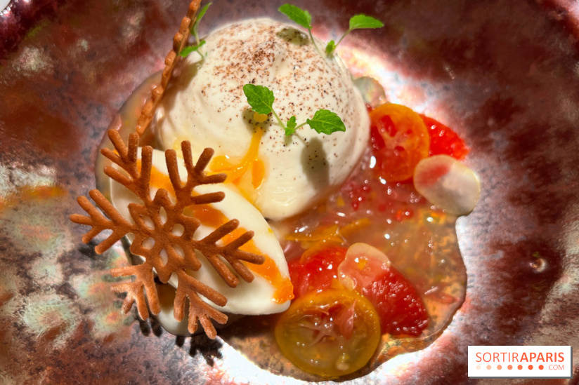 Virtus - Dessert main de bouddha