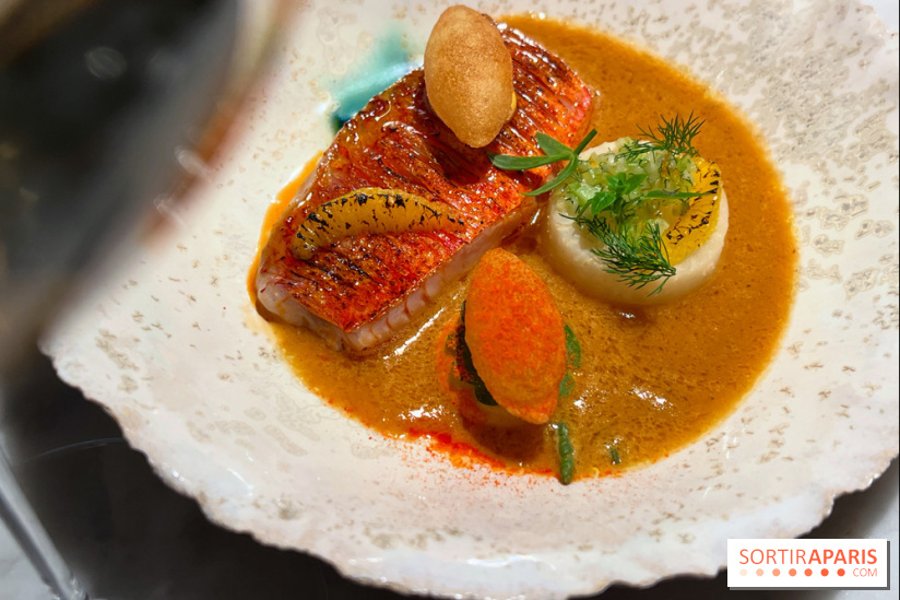 Virtus - Rouget à la flamme