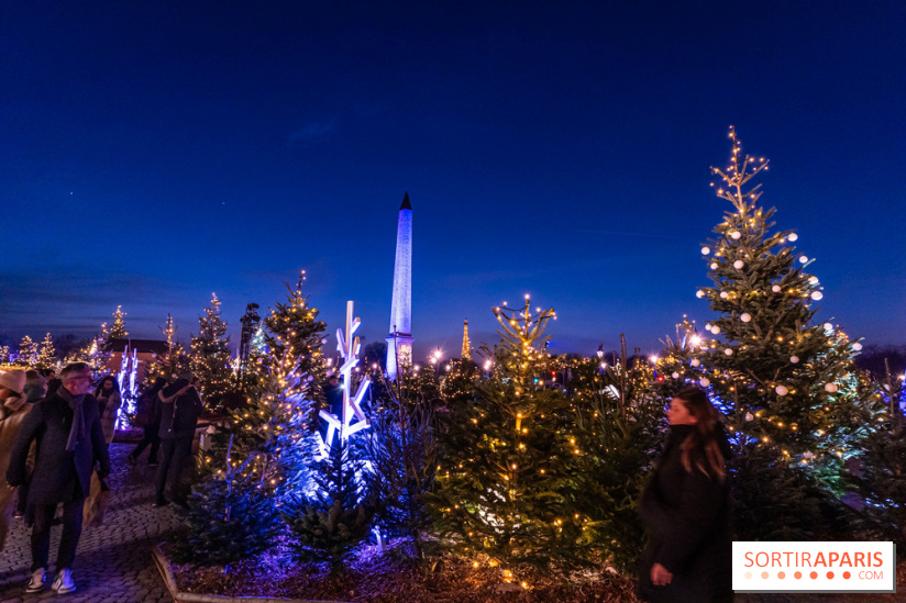 Le Marché de Noël de la Place de la Concorde à Paris -  A7C9428