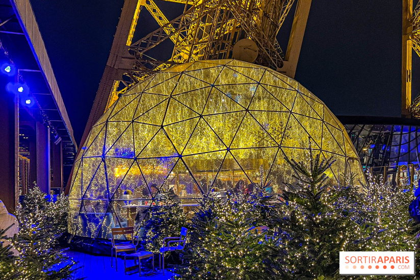 Noël 2024 à la tour Eiffel - image00051