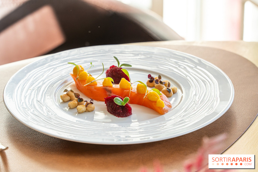 La Table du Château à Dampierre-en-Yvelines, le restaurant face au château - nos photos -  saumon