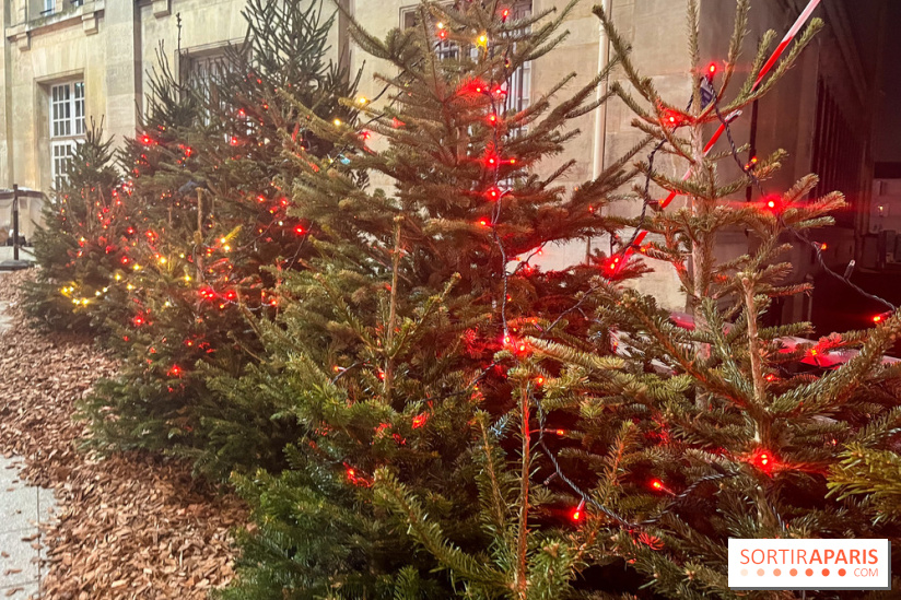 Bel Hiver Saint-Denis 2024 - nos photos - image00020