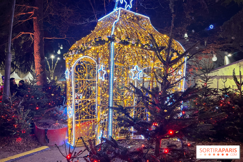 Bel Hiver Saint-Denis 2024 - nos photos - image00003