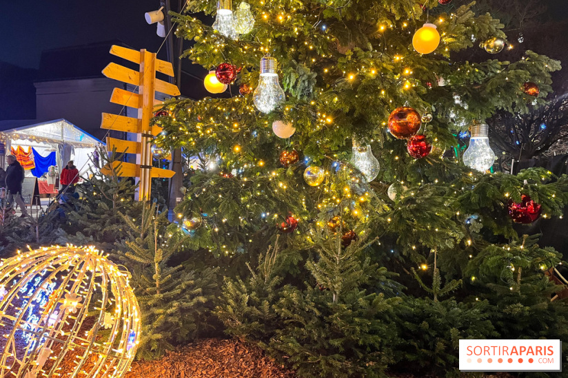 Bel Hiver Saint-Denis 2024 - nos photos - image00005