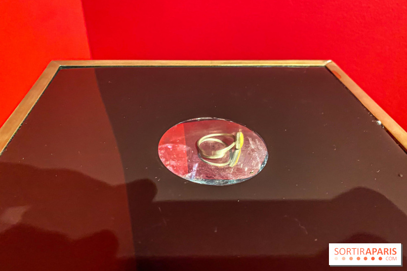 Exposition Magique ! au Musée de la Carte à jouer - IMG 2173