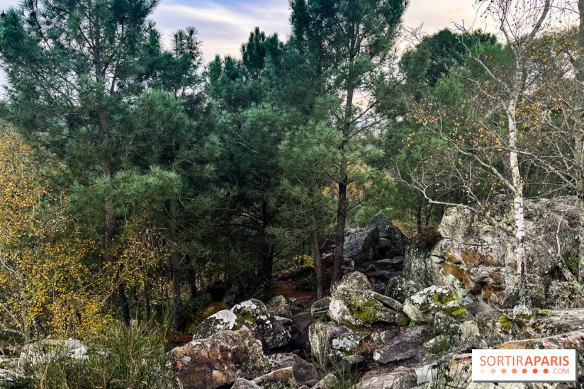 Les 25 bosses - photos - image00081