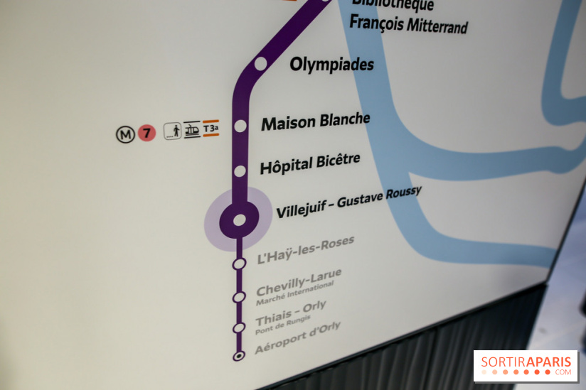 Gare Villejuif - Gustave Roussy, nos phoros